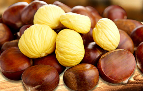 ţ�ⲻ�ܺ�ʲôһ��� ţ��Ĵ������